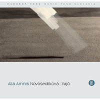 Alia Amnis: Novosedlíková/Vajó CD